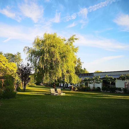 Gîte du Château d’Hardelot à Condette Exterior foto
